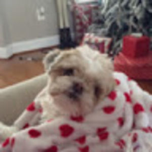 Meet your Posher, Alexandra